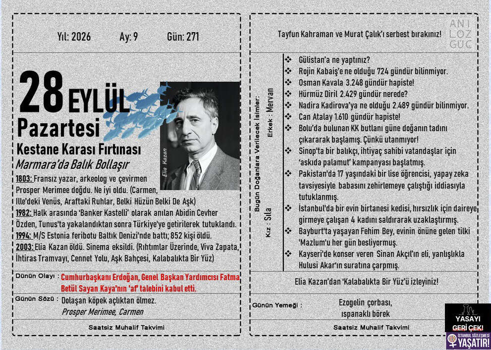 Kestane Karası Fırtınası 1